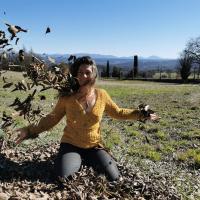 Img 20210211 120020 feuilles qui s envollent a gauche 