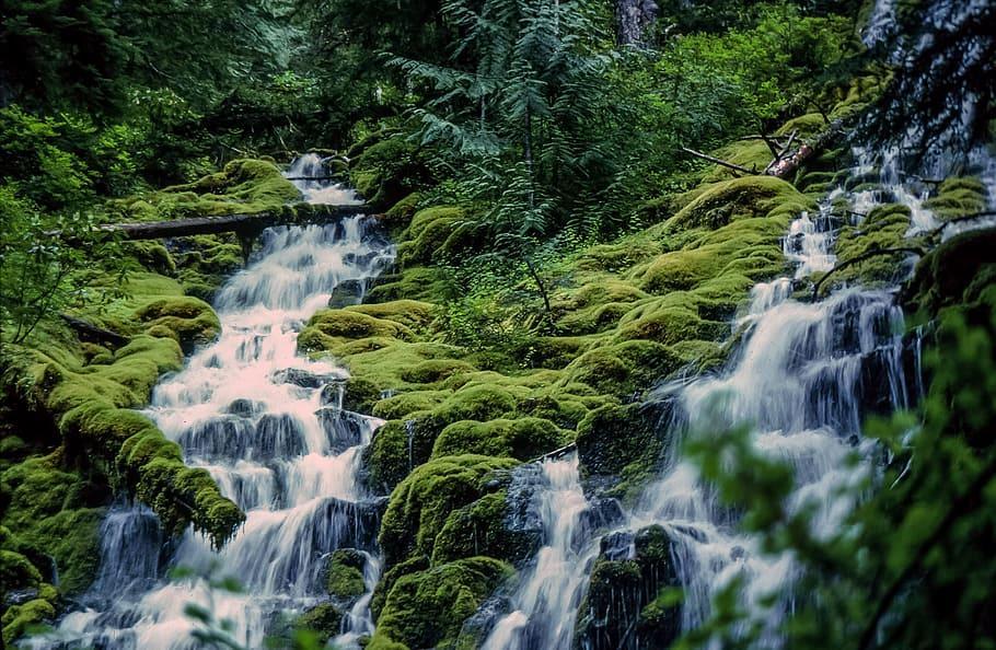 Beautiful fall flowing green