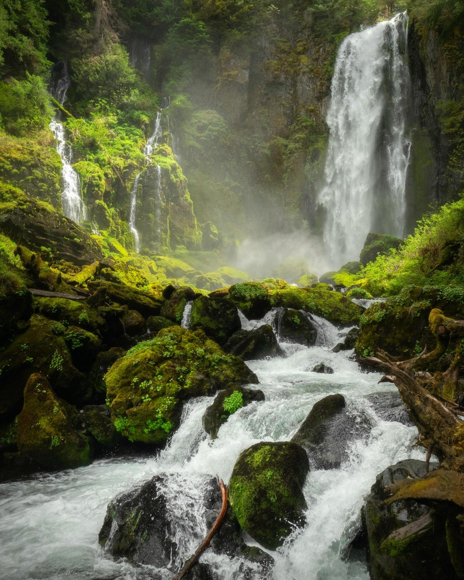 Cascade avery nielsenwebbur pexels