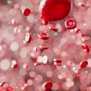 Circu sanguine anirudh uiwuteqroes unsplash 1