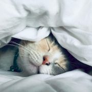 Kate matheson unsplash